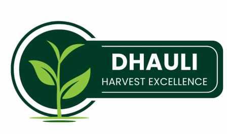 Dhauli Harvest Excellence Device mark 6329662 Trademark