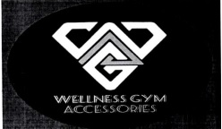 Wellness Gym Accessories Device mark 6334527 Trademark