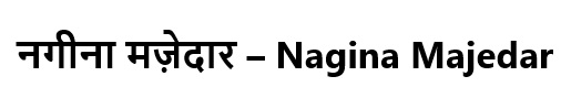 Nagina Majedar Device mark 6338158 Trademark