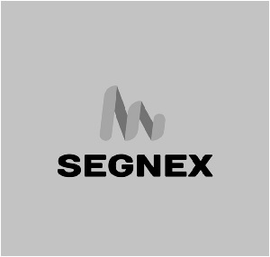 Segnex (with Device) Device mark 6343642 Trademark