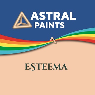 Astral Paints Esteema Device mark 6358637 Trademark