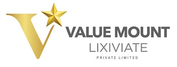 V Value Mount Lixiviate Private Limited Device mark 6358824 Trademark