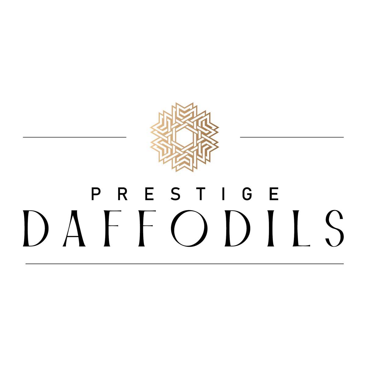 Prestige Daffodils Device mark 6368171 Trademark