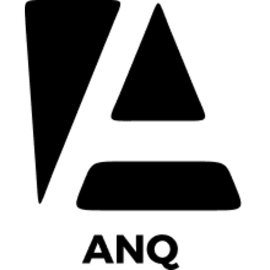 Anq Device mark 6386489 Trademark