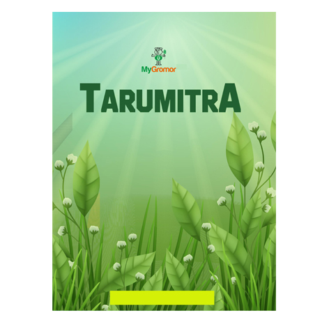 Tarumitra Device mark 6387783 Trademark