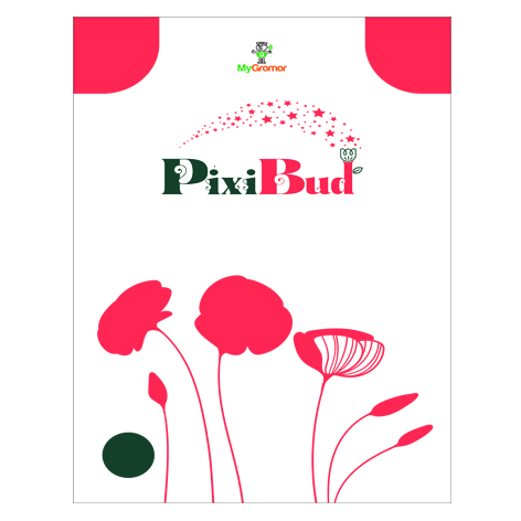 Pixibud Device mark 6387781 Trademark