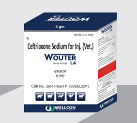 Wouter Device mark 6391799 Trademark