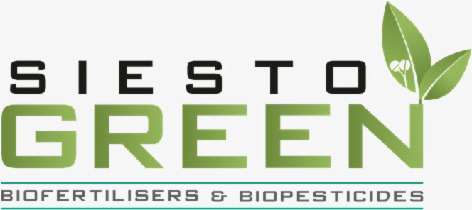 Siesto Green (label) Device mark 6393872 Trademark