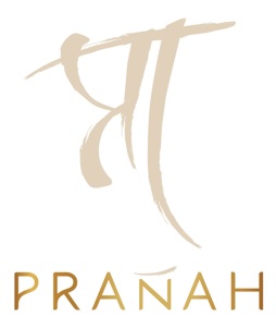 Pranah Device mark 6416232 Trademark