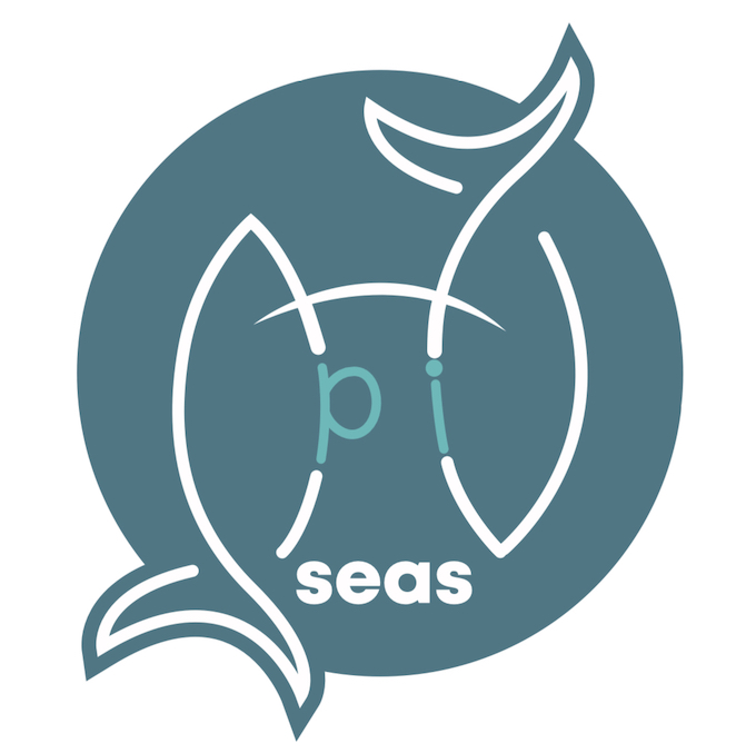 Pi Seas Device mark 6419756 Trademark