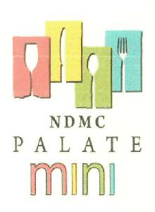Ndmc Palate Mini Device mark 2901527 Trademark