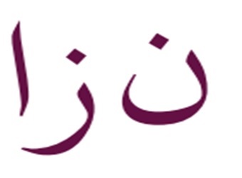 Naza Device mark 6425931 Trademark