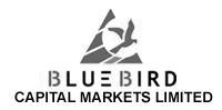 Blue Bird Capital Markets Device mark 2185680 Trademark