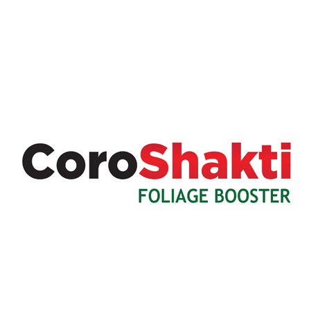 Coroshakti Device mark 6441485 Trademark