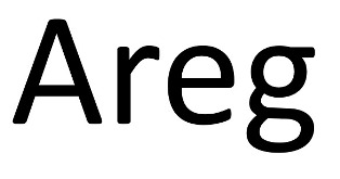 Areg Device mark 6449818 Trademark