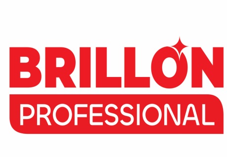 Brillon Professional Device mark 6467828 Trademark