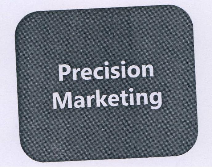 Precision Marketing Device mark 2086612 Trademark