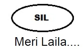 Meri Laila…with Company’s Logo Sil Device mark 6484772 Trademark