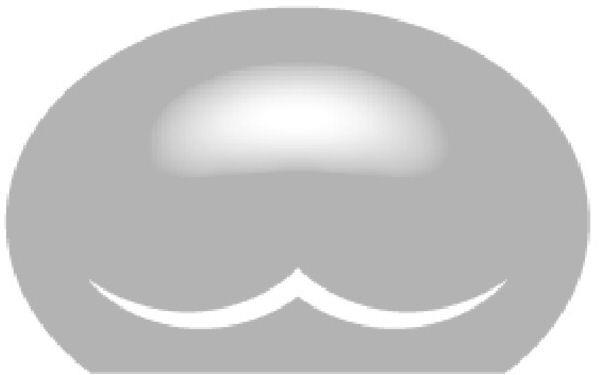 Device Device mark 5222818 Trademark