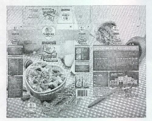 Saffola Muesli Lite N Natural Device mark 2328236 Trademark