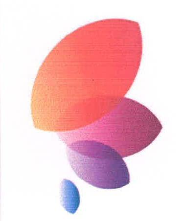 Device Device mark 2228713 Trademark