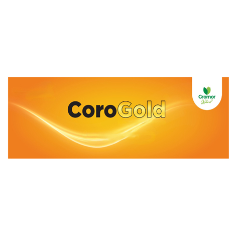 Corogold Device mark 6529160 Trademark