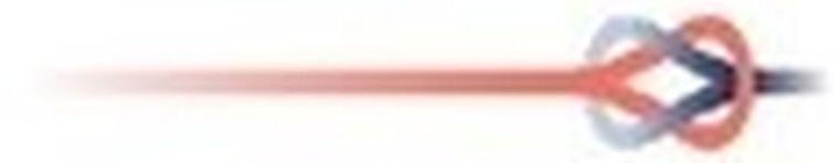 Device Device mark 4251393 Trademark