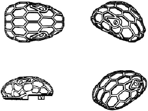 Device Of Head Of Snakes Device mark 3237940 Trademark