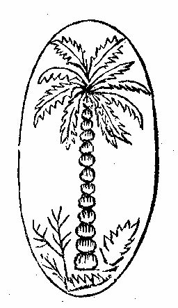 Device Of Tree Device mark 241127 Trademark