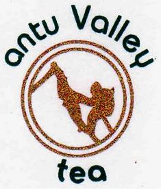 Antu Valley Tea, Device Of Man Climbing On Mountain Peak Device mark 2803492 Trademark