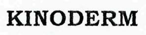 Kinoderm Device mark 2371231 Trademark