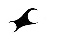 Fastrack Logo Device mark 6562044 Trademark