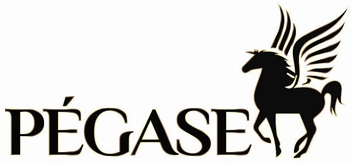 Pegase Device mark 3597917 Trademark