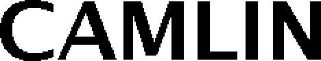 Camlin Device mark 3630382 Trademark
