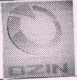 O With Word Ozin Device mark 2496602 Trademark