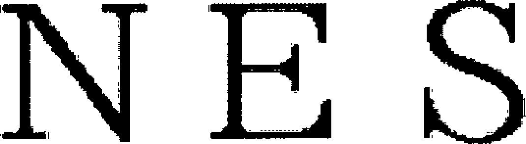 Nes Device mark 3909563 Trademark