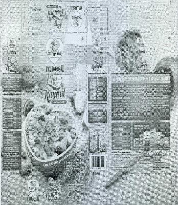 Saffola Muesli Lite Natural Device mark 2328253 Trademark