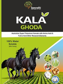 Kala Ghoda Device mark 6618225 Trademark
