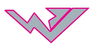 W Device Device mark 6618523 Trademark