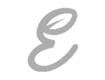 E Device mark 5818169 Trademark