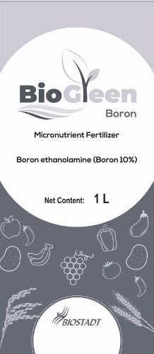 Biogreen Boron Device mark 6661191 Trademark