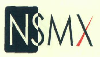 Nsmx Device mark 2934427 Trademark