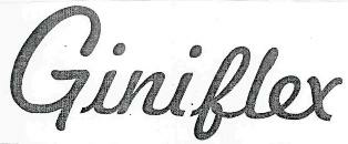 Gini Flex Device mark 2400466 Trademark