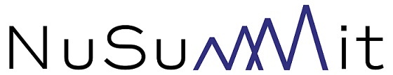 Nusummit Device mark 6675048 Trademark