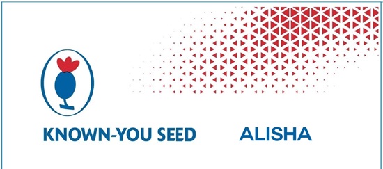 Known-you Seed Alisha Device mark 6684228 Trademark
