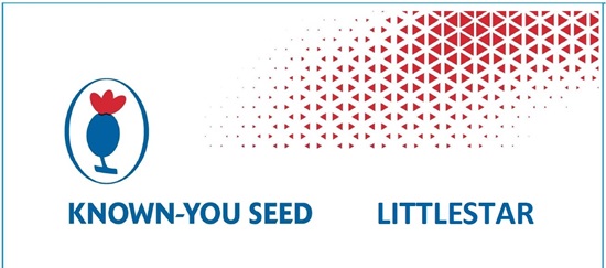 Known-you Seed Littlestar Device mark 6685997 Trademark