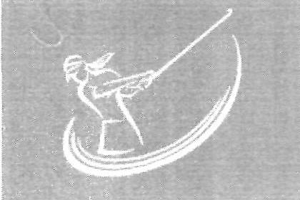 Device Device mark 2444953 Trademark