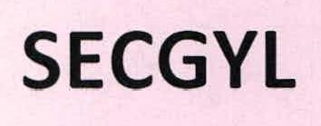Secgyl Device mark 2249461 Trademark