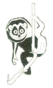 Device Device mark 2981700 Trademark