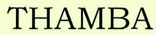 Thamba Device mark 2521766 Trademark